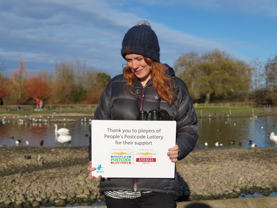 WWT's Julia Newth discusses science, swans and Slimbridge